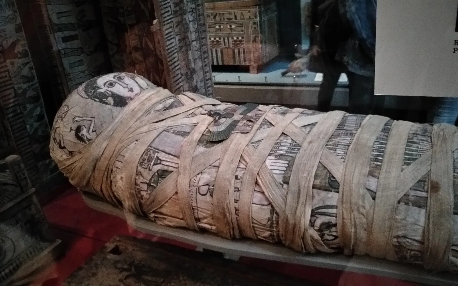 Cleopatra mummy on display at a museum